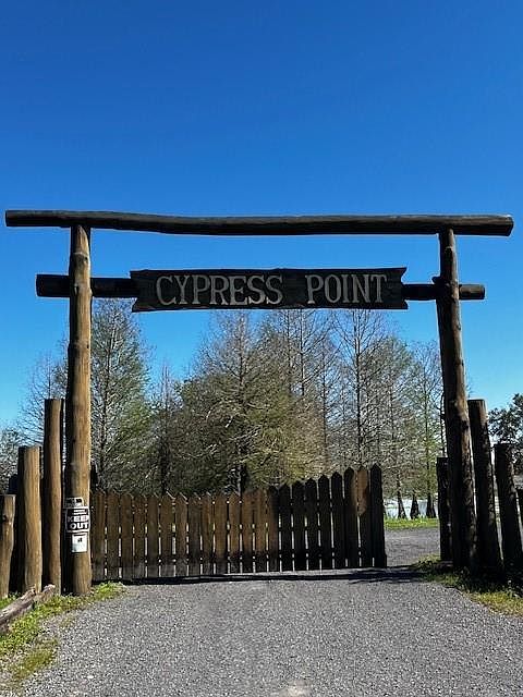 1st image of D4 Gros Cypress