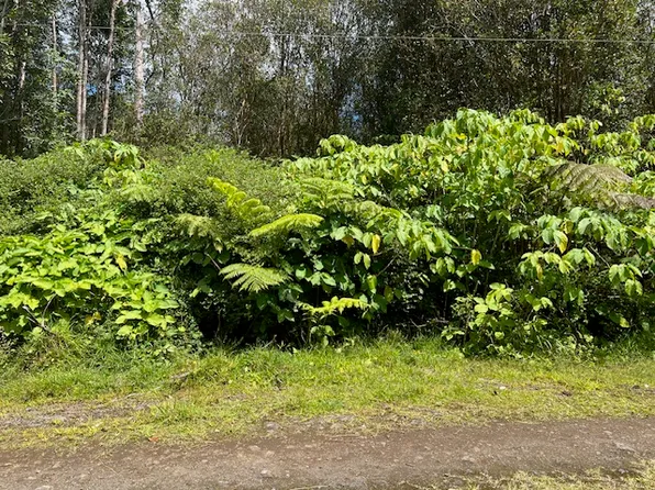 Road 1 Lot 10, Volcano, HI 96785