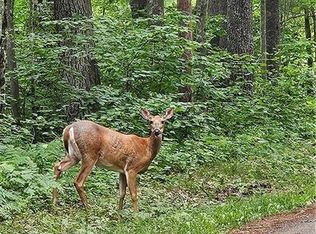 Lots 17, 18, 36-40 BLK 13 Dixon Ave, Hayward, WI 54843