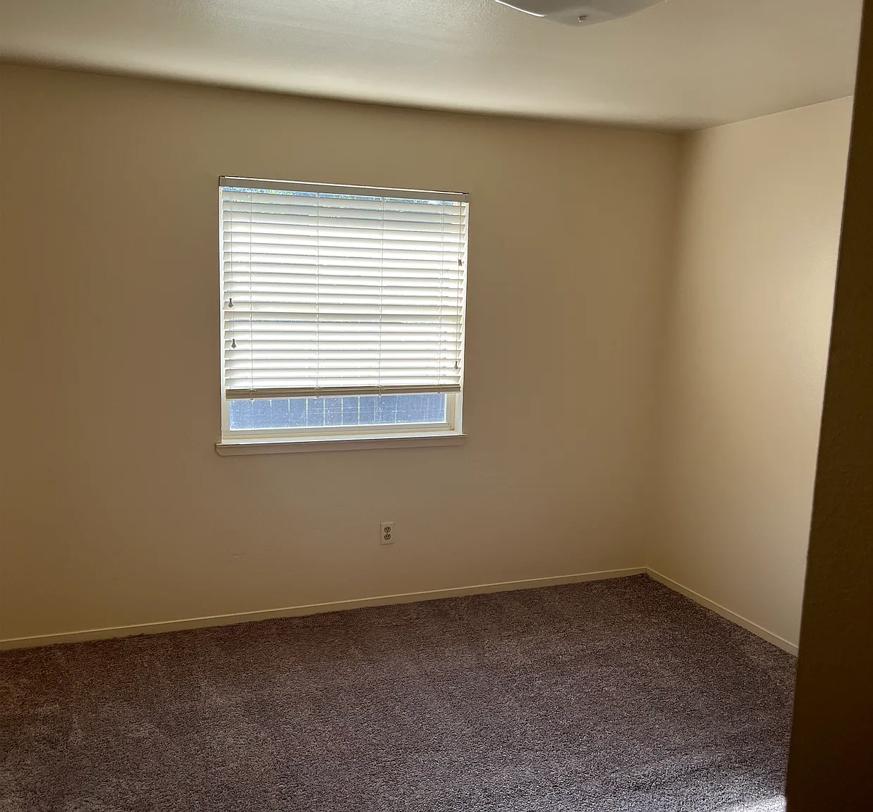3 bed, 1200 sqft, $2,000 — Photo 3