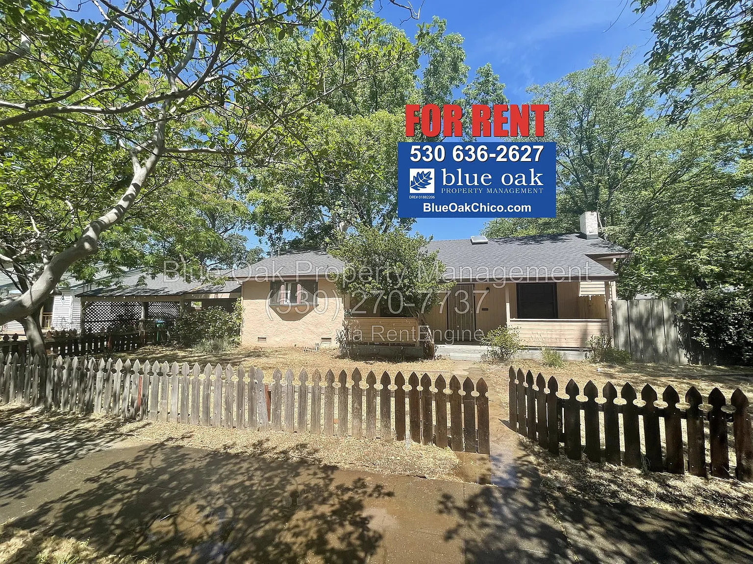 3 bed, 2.0 bath, 1376 sqft, $1,900 — Photo 1
