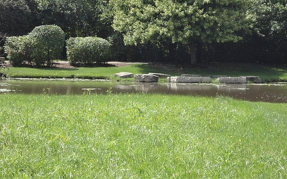 3rd image of 10913 Crystal Springs Ln
