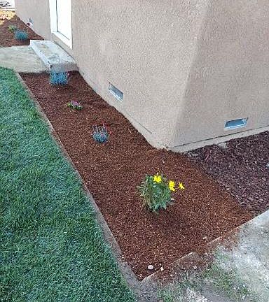 5th image of 1439 N Encina St