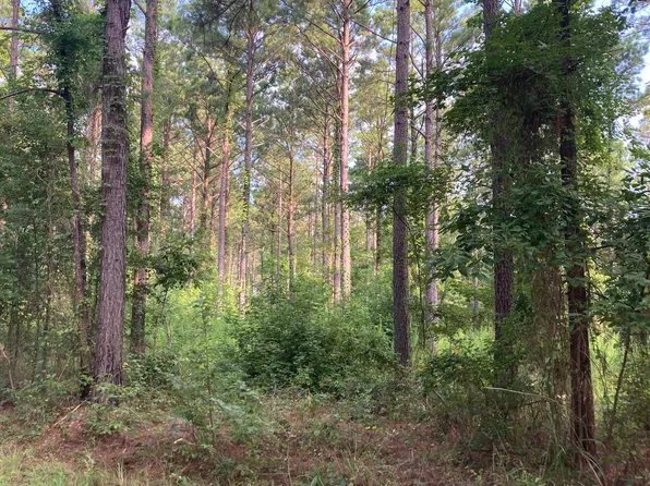0 Oakley Rd, Arcadia, LA 71001