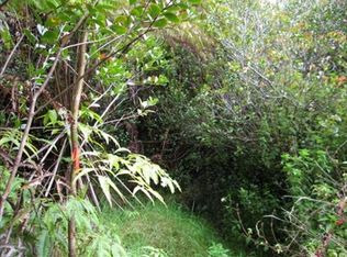 N Glenwood Rd LOT 120, Volcano, HI 96785