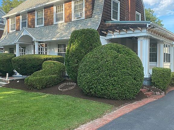 Call 585-261-6580 for appt