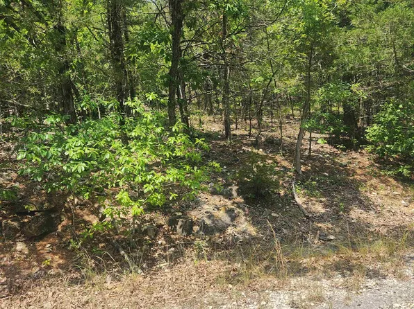 L-61-B Lochloosa Dr #7, Cherokee Village, AR 72529