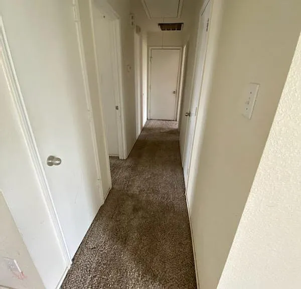 Wild Creek Ct — Photo 12