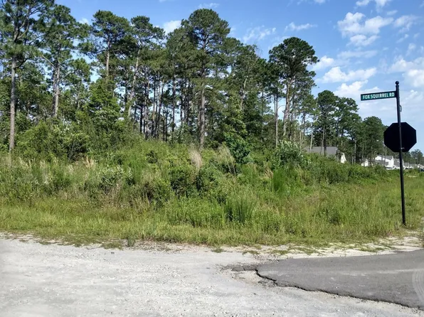 0 Fox Squirrel Road, Boiling Spring Lakes, NC 28461