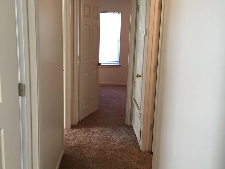 1430 Shoshoni Trl — Photo 5