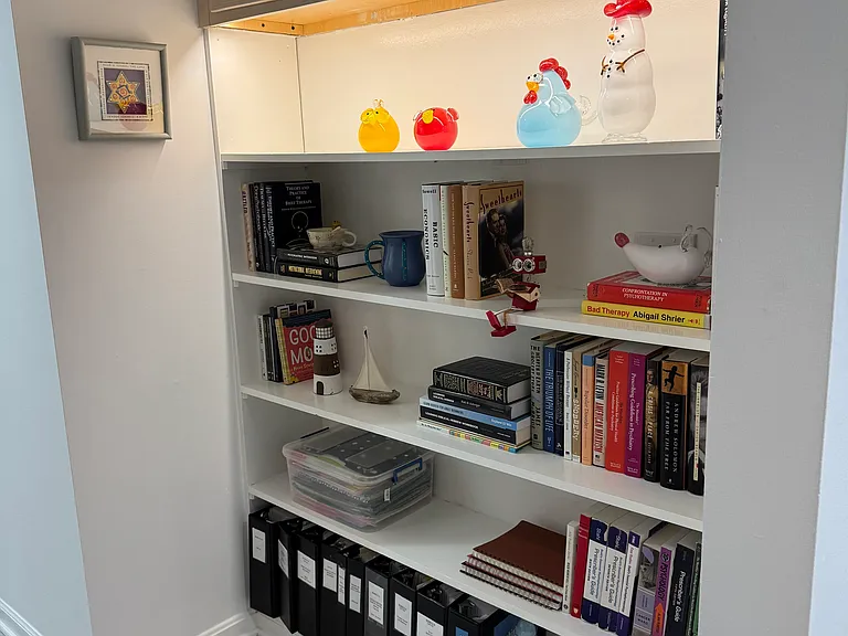 Bar Area Bookshelves
