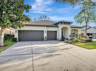 15616 Starling Water Dr, Lithia, FL 33547
