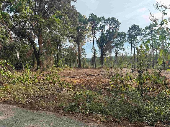 4th image of 896 County Road 219