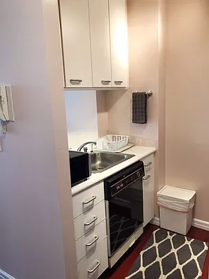 Rented by Furumoto Realty of New York City Inc | media 47