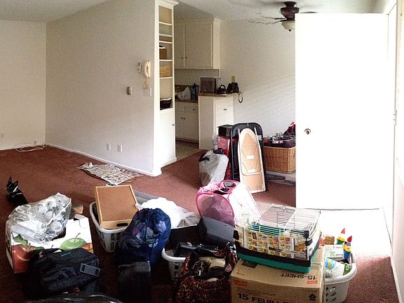 living, dining, kitchen