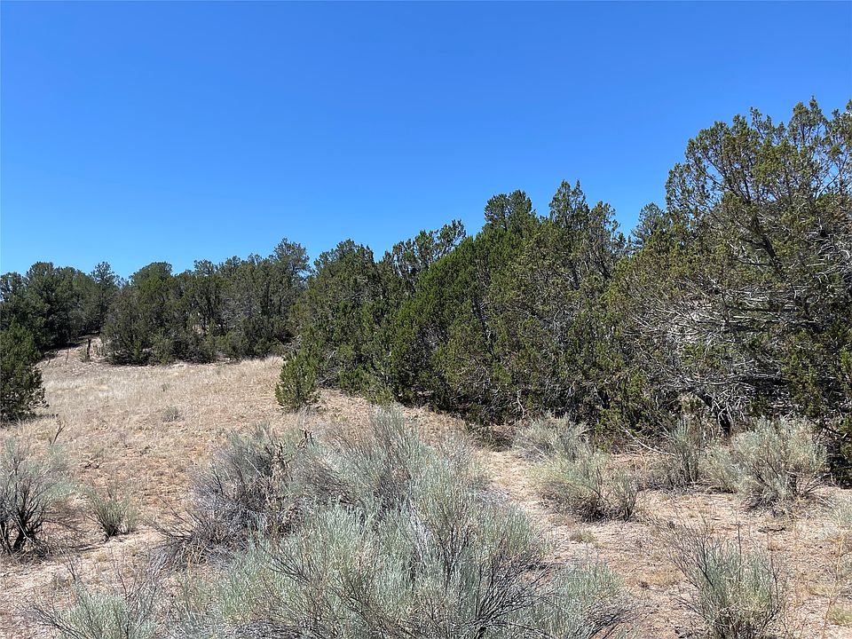 2nd image of 67 Camino Del Canon #B