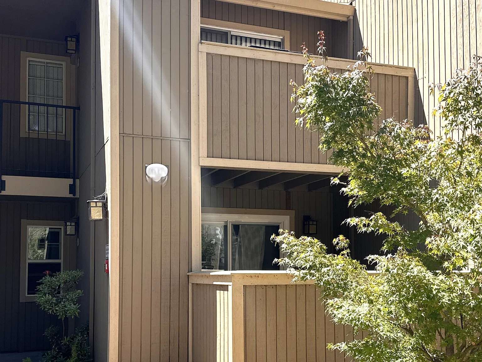 Foxtail Terrace, Fremont — Photo 1