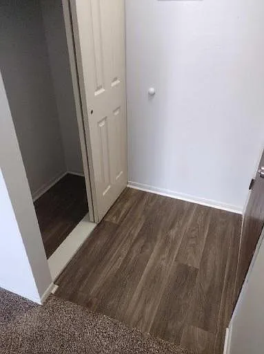 Colony House — Photo 4