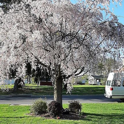 4th image of 1200 Nelson Dr