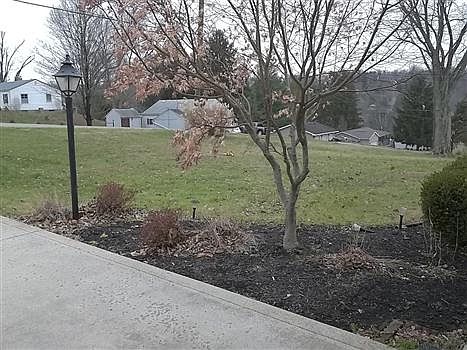 3rd image of 1097 Edgewood Dr