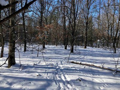 6536 Akron Ave, Plainfield, WI, 54966