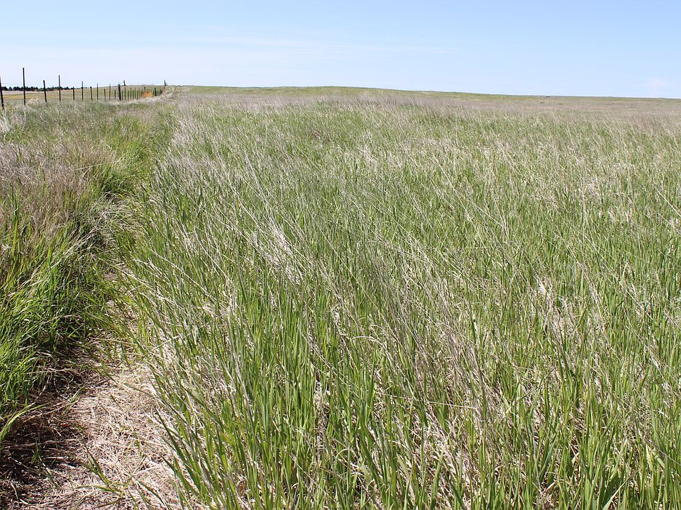 1st image of Crp
