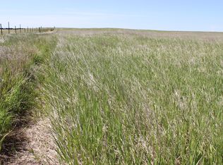 Crp, Pine Bluffs, WY 82082