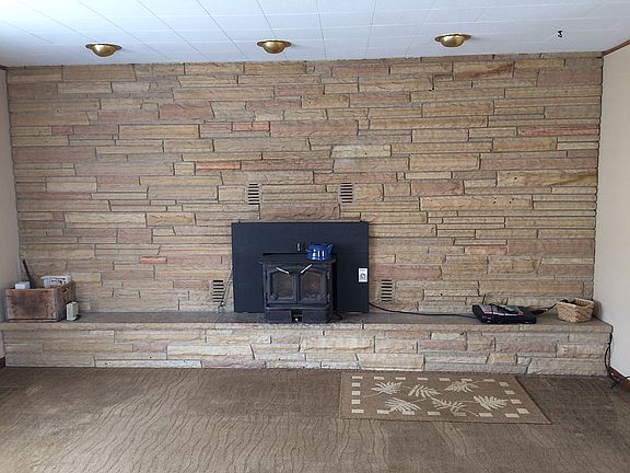 Fireplace insert 