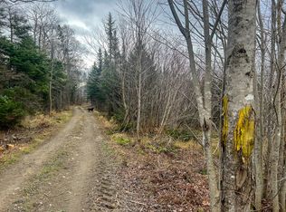 L 33d&33e St, Newry, ME 04261