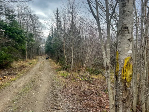 L 33D&33E Back Street, Upton, ME 04261