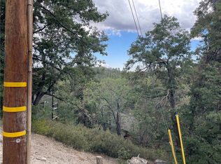 33462 Angeles Dr #45, Green Valley Lake, CA 92341