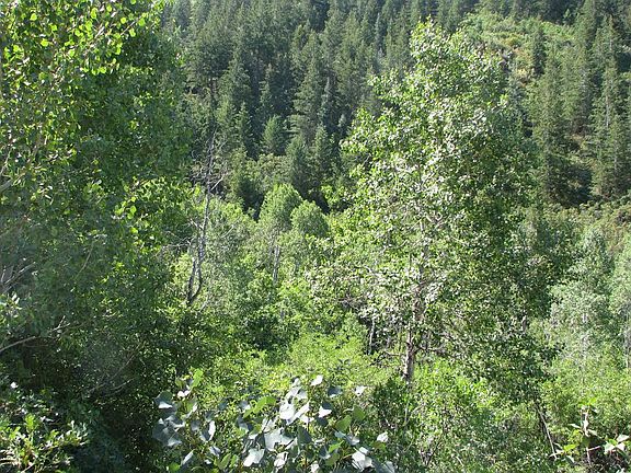 4th image of 6 S Birch Creek Dr #6