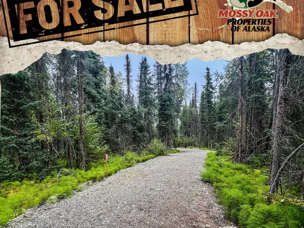 39795 W Parks Hwy, Willow, AK 99688