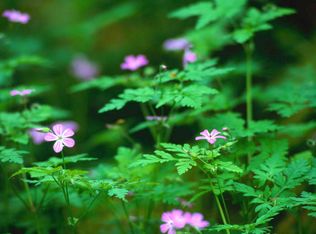 12243 Collins St, Valley Village, CA 91607