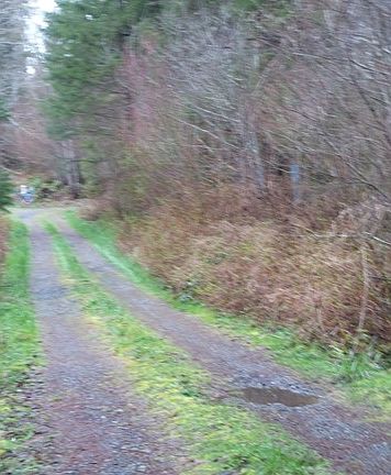 3rd image of 1920 NE Tahuya River Dr