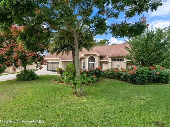 6203 Krista Dr, Spring Hill, FL 34609