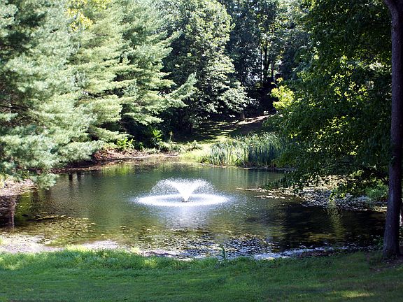 pond