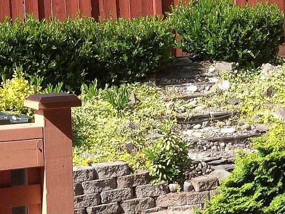 4th image of 4609 S 12th Street Ct