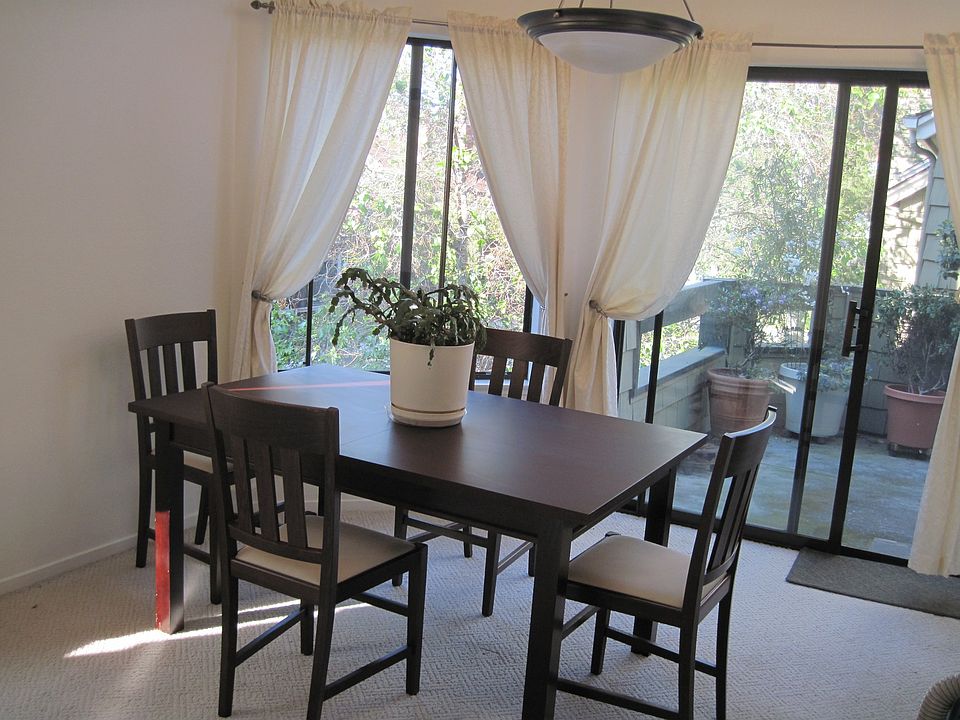 view from dining room