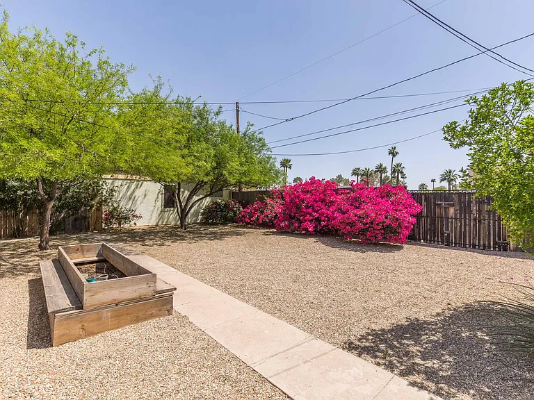 Backyard w/ Shade Trees