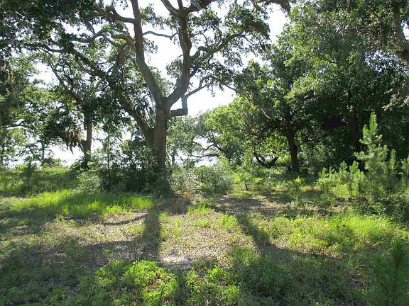 5th image of LOT 7B Garcon Shores Dr