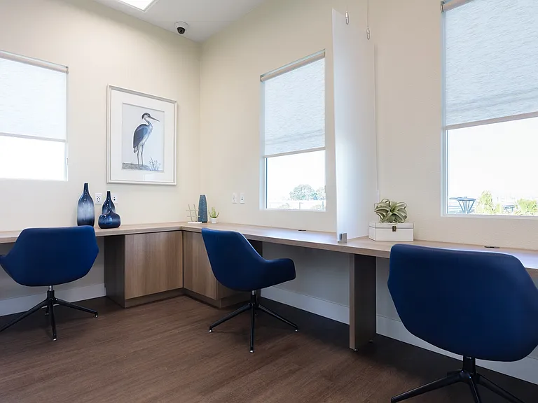 Palmia, Age 55+ Luxury Apartments — Photo 25