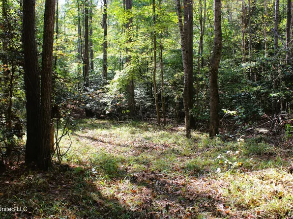 216 County Road 445, Oxford, MS 38655