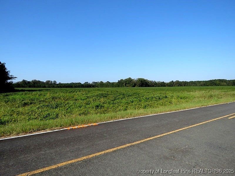 2nd image of Cowpen Swamp Rd