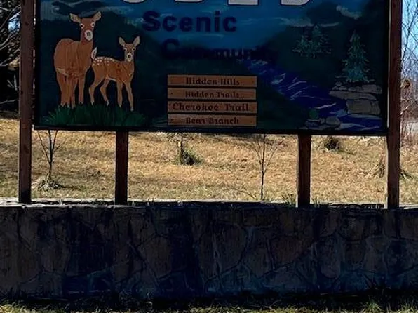 LOT 4 Bear Branch Rd, Wartburg, TN 37887