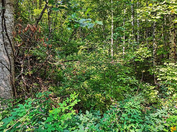 3rd image of 2 Brasstown