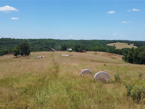 96 Mol Acres Hwy #12, Hindsville, AR 72738