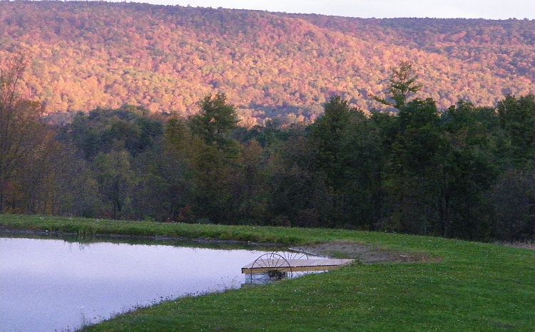 Beautiful view in October