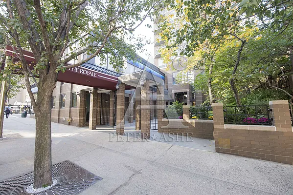 Rented by Peter Ashe | media 6