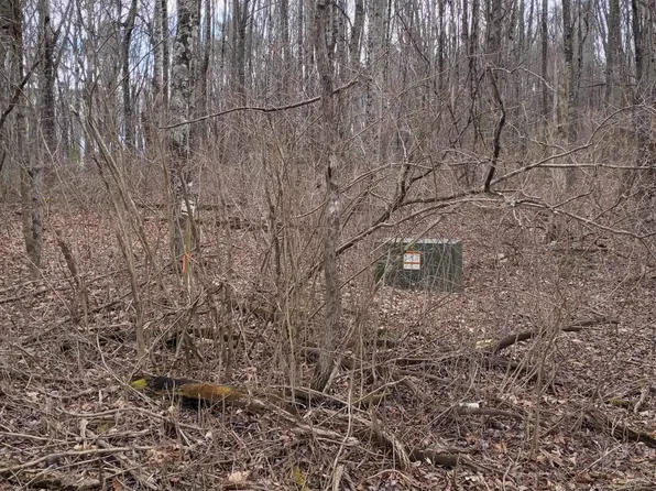 Sandy Flats Rd SE, Floyd, VA 24091